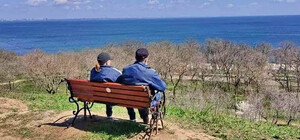 Дикари: на склонах Трассы Здоровья украли скамейки, установленные волонтерами (обновлено)