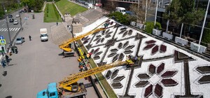 Фотофакт: на Университетской горке высадили цветочную клумбу