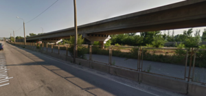 Ради моста: на Набережной собираются спилить почти 600 деревьев