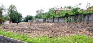 Незаконно: возле сквера на проспекте Мазепы срубили 20 деревьев (фото)