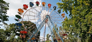 Порадуй мелкого: в парке 