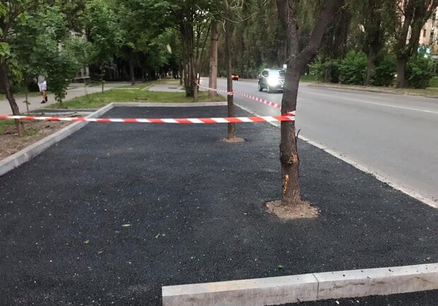 В Днепре на парковке деревья закатали в асфальт - фото: fb Руслан Ширинов