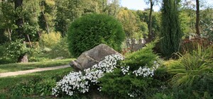 Нагуляешься: в четырех районах появятся новые зеленые зоны