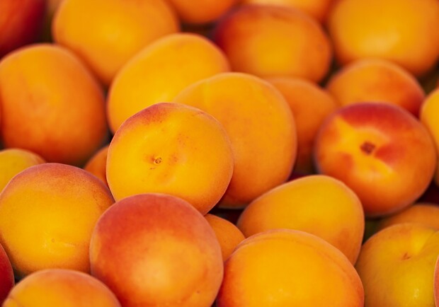 В супермаркетах и на рынках начали продавать абрикосы - фото: pixabay.com