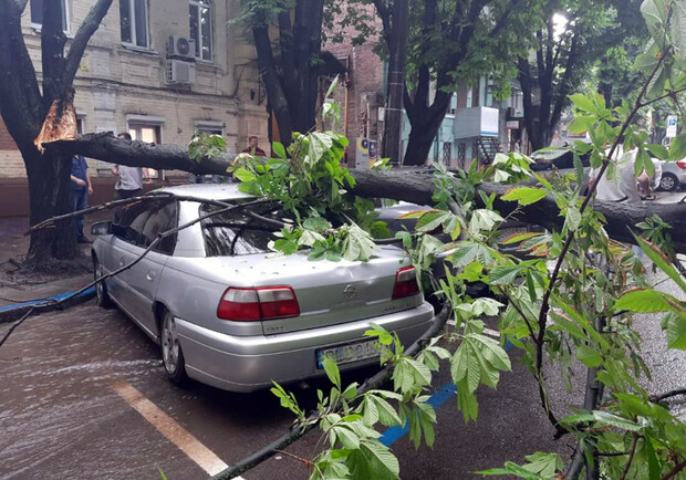 Упавшие деревья и затопленные улицы: как Днепр пережил непогоду - фото: ГСЧС
