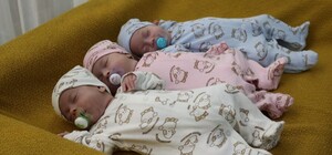 Спустя полтора месяца: в Запорожье из больницы выписали тройню