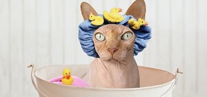 На сутки: часть Новобаварского района Харькова осталась без воды