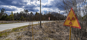 В рекордные сроки: 