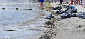 Отдых в грязи и с мертвыми крысами: как выглядит пляж Аркадии после ливня 