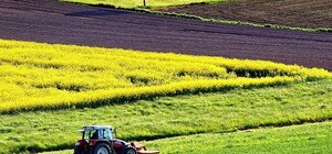Вторые по стране: в Одесской области очень дорогая сельскохозяйственная земля 