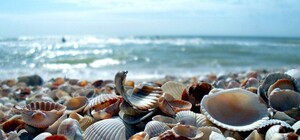 Лучше повременить с отдыхом: вода в Азовском море опасна для купания