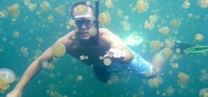 Недолго музыка играла: в Кирилловку вернулись медузы