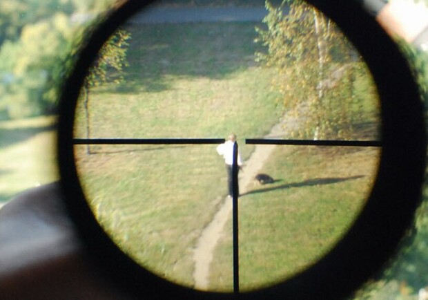 На левом берегу Днепра неизвестные отстреливают собак - фото: realist.online