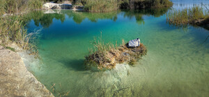 Красота: в Запорожье нашли 