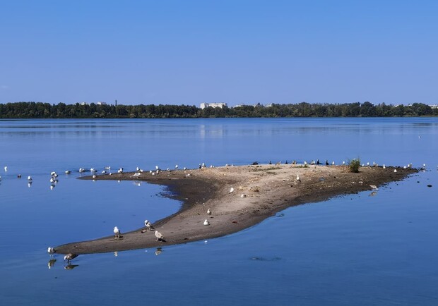 Внезапно: в центре Днепра появился новый остров - фото: fb Oleksandr Malyy