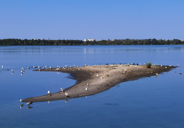 Есть опасность: что говорят экологи о новом островке в Днепре - фото: fb Oleksandr Malyy