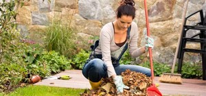 Що робити в саду, на грядках і городі: посівний календар на жовтень