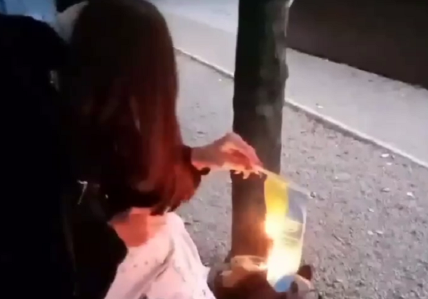 Девочка, которая сожгла флаг, записала видео с извинениями - фото: tg huevoe_kamenskoe