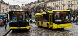 Не чекай даремно: 26 вересня майже тридцять львівських автобусів змінять маршрути