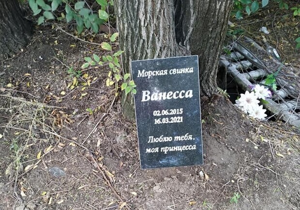 В Днепре кладбище домашних животных превратили в свалку - фото: tg Дніпро Обласний