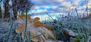 Началось: на Одессу надвигается антициклон – будут заморозки