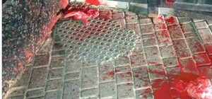 Ярко-красные пятна: российское консульство в Одессе облили краской