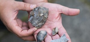 Историческое открытие: под Киевом обнаружили три стоянки древних людей