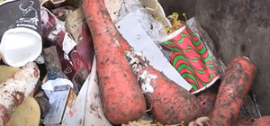 С-стихийщики: торговцы на рынке засоряют мусорные баки гнилыми овощами