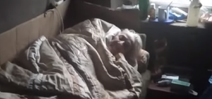 Ради денег: в Днепре женщина сняла душераздирающее видео про свою свекровь 