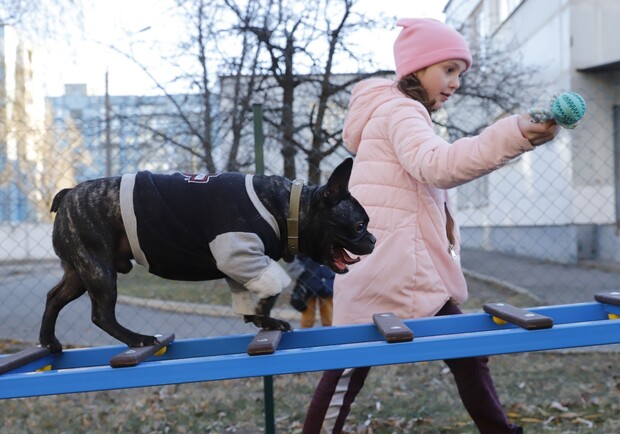 В Днепре открыли новую полосу препятствий для дрессировки собак 