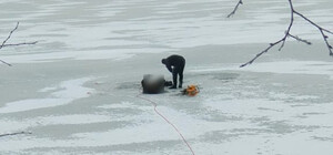 На Днепропетровщине рыбак провалился под лед и утонул