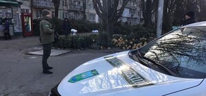 В Одессе проводят рейды по точкам продажи елок 