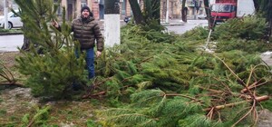 После Нового года в Одессе появились 