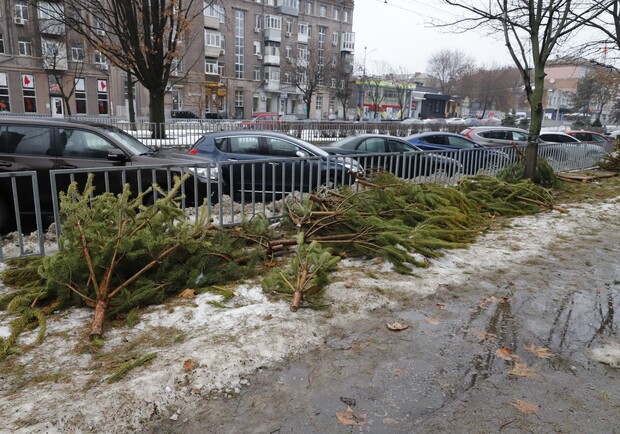 В Днепре непроданные елки бросили посреди тротуара - 