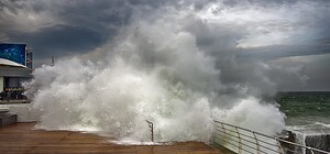 Ветер усиливается: в Одессе начали падать деревья и даже новогодняя елка