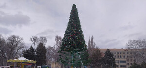 В парке Глобы демонтировали новогоднюю елку