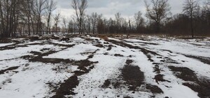 На Оболонском острове, к которому строят мост, вырубают деревья: в чем причина