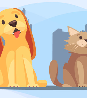 Питомцы, которые стали знаменитыми во время войны 