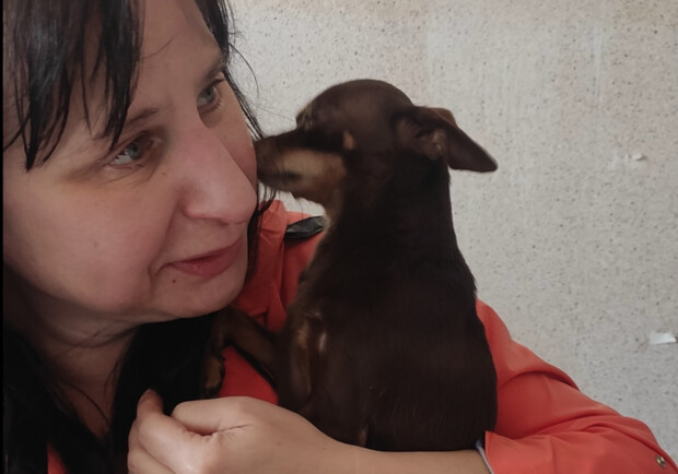 В Днепре спустя три недели нашли потерянную крошечную собаку из Краматорска 