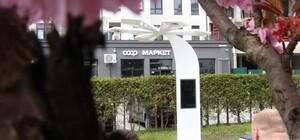 З Wi-Fi, відеокамерою та тривожною кнопкою: у Трускавці з'явилося Дерево Миру