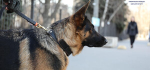 Три диверсанта и любитель громкой музыки: кого за сутки задержали одесские патрульные