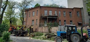 У Дніпрі спиляли 100-річну шовковицю Івана Акінфієва