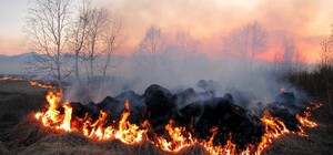 Жителей Днепропетровщины предупредили о чрезвычайной пожарной опасности