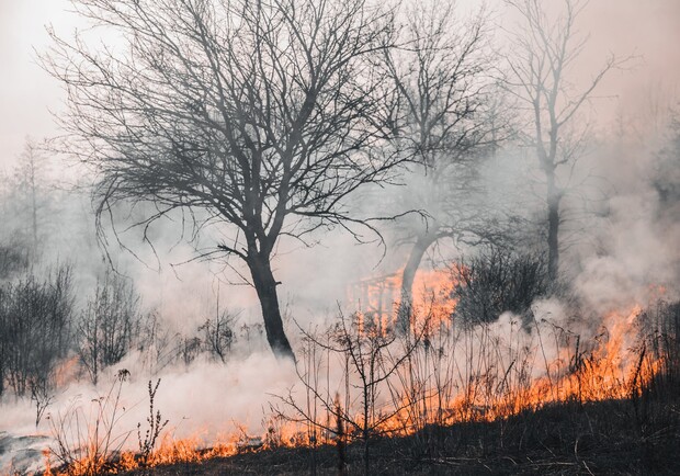 На Дніпропетровщині попереджають про високу пожежну небезпеку - 