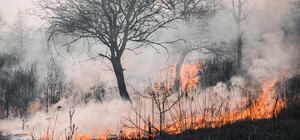 В Днепропетровской области предупреждают о высокой пожарной опасности