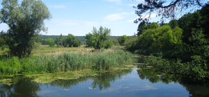 Кишечная палочка: в Харьковской области еще один водоем стал опасным для купания