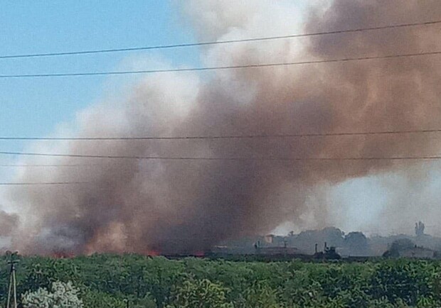 На Дніпропетровщині різко збільшилася кількість пожеж - 