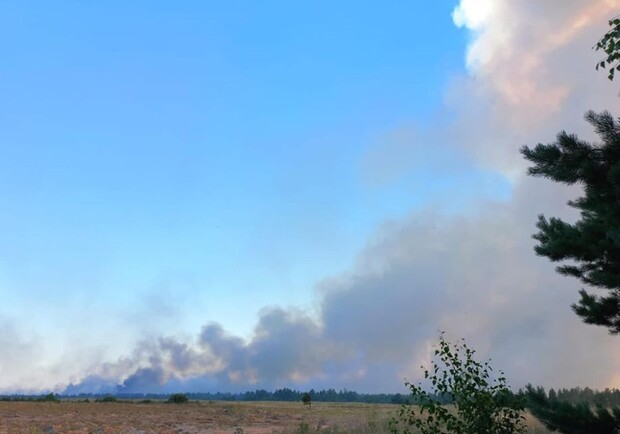 Масштабна пожежа на Дніпропетровщині: горіли 10 гектарів лісу 