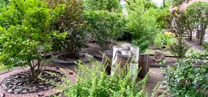 В Дарницком районе киевлянка создала небольшой сад во дворе