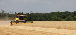 Старух розповів, чи вистачить хліба мешканцям Запорізької області цього року